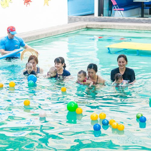Bangkok Dolphins Infant Swimming (10)