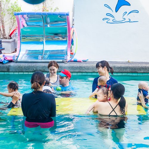 Bangkok Dolphins Infant Swimming (14)