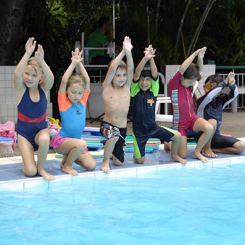 Bangkok Dolphins Learn to Swim (1)