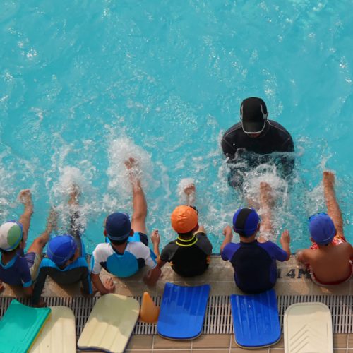 Bangkok Dolphins Learn to Swim (15)