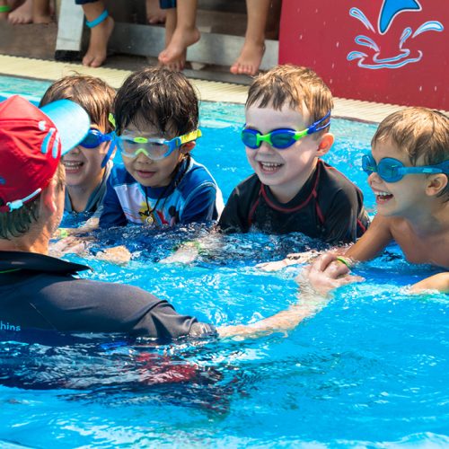 Bangkok Dolphins Learn to Swim (5)